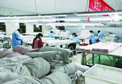 山陽:“基地+市場”讓羽絨產業 “飛”起來