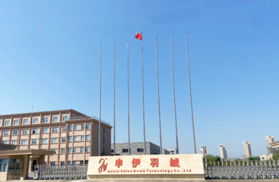 裕安白鵝“向天歌”_六安市裕安區(qū)人民政府