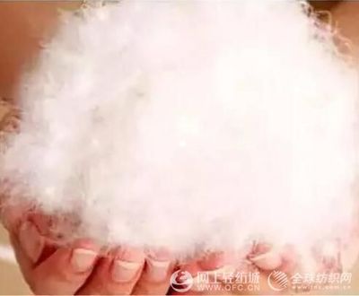 羽絨和羽絨棉的區(qū)別