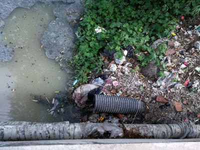 白洋淀區(qū)域生態(tài)治理“紅黑榜”(六)