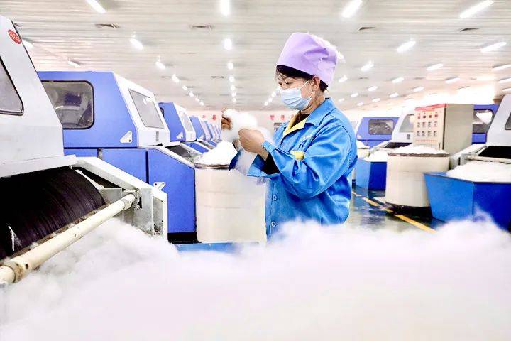 金絨早報 | 羽絨供給量增長5倍!杜爾伯特縣大鵝屠宰加工項目7月投產 / 三穗縣羽絨產業(yè)園與生產項目啟動,打造“原料到終端”閉環(huán)