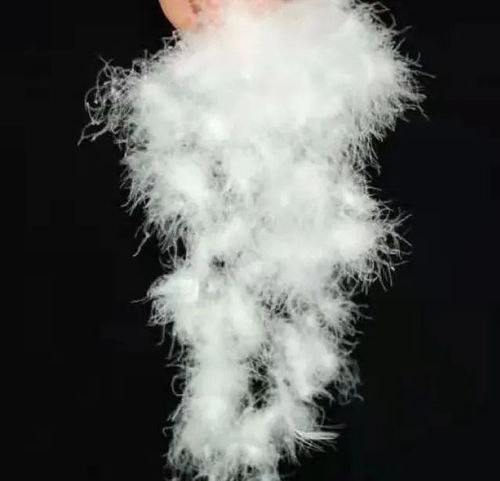 寶升家紡 年產(chǎn)20萬件羽絨制品項(xiàng)目 助跑 預(yù)計(jì)年產(chǎn)值同比增長233