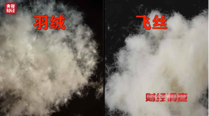 以“絲”代“絨”亂象頻生,消費(fèi)者選購羽絨服時(shí)應(yīng)注意什么?