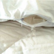 淮安市淮安區(qū)鑫豐羽絨制品廠(chǎng)